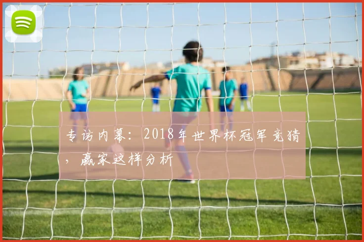专访内幕：2018年世界杯冠军竞猜，赢家这样分析