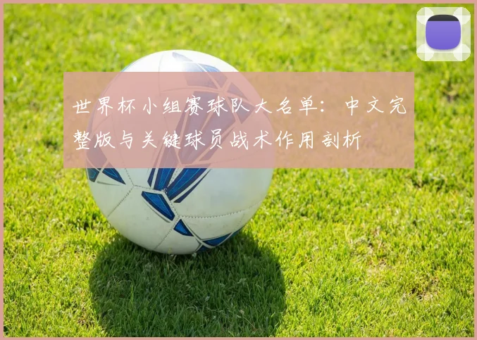 世界杯小组赛球队大名单:中文完整版与关键球员战术作用剖析